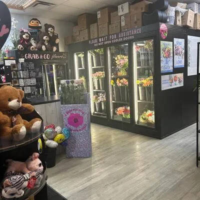 7, Anne, Queen's Park, Barrie