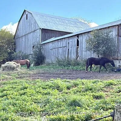 5031, Herald, Mt Albert, East Gwillimbury