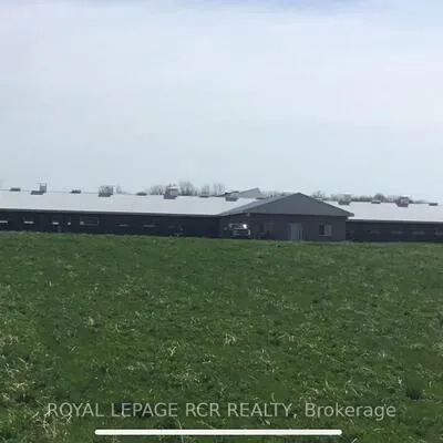 7405, Highway 9, Rural King, King