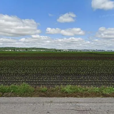 30, Aileen, Rural King, King