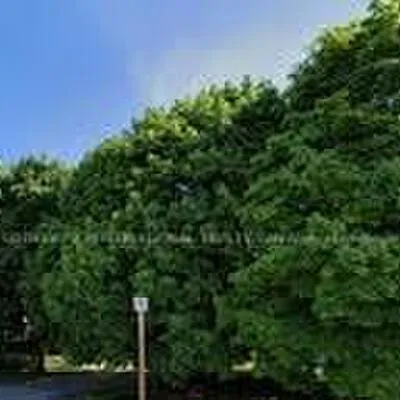 3073, Southcreek, Dixie, Mississauga