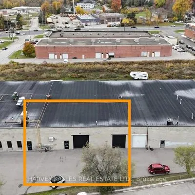 589, Steven, Stonehaven-Wyndham, Newmarket