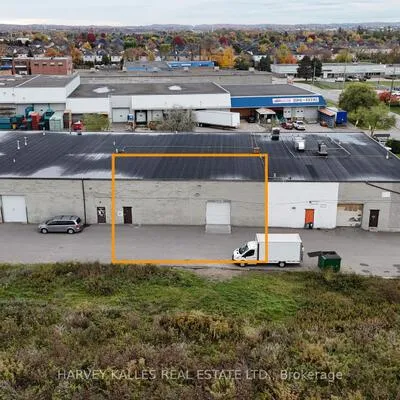 589, Steven, Stonehaven-Wyndham, Newmarket