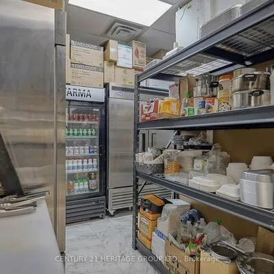 559, STEVEN, Stonehaven-Wyndham, Newmarket