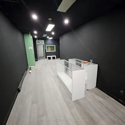 381, Dundas, Moss Park, Toronto