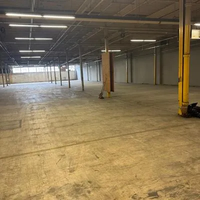 80,&nbsp;Jutland, Islington-City Centre West, Toronto