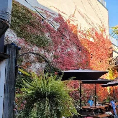 Commercial for sale, 293, Roncesvalles, Roncesvalles, Toronto