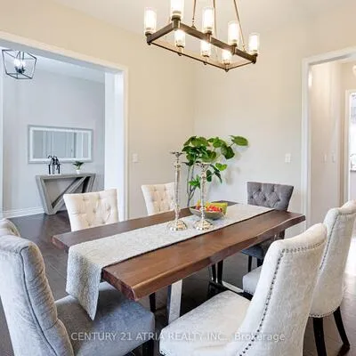 19, Match Point, Aurora Grove, Aurora