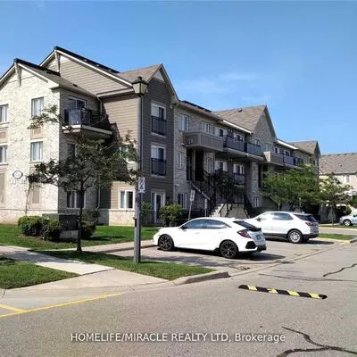 60, Fairwood, Sandringham-Wellington, Brampton