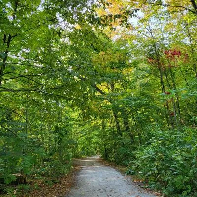 1905,&nbsp;Broad Hollow, Erin Mills, Mississauga