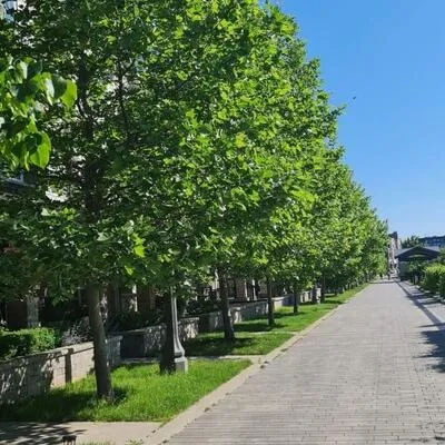 3023,&nbsp;Creekshore, 1008 - GO Glenorchy, Oakville