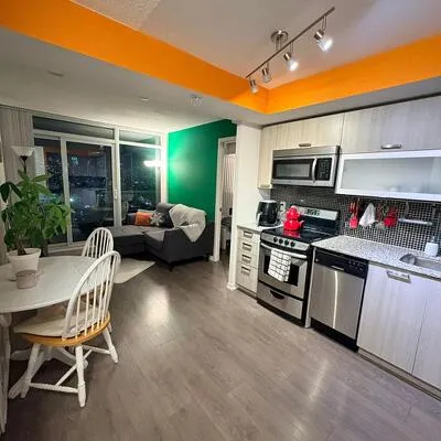 36,&nbsp;Lisgar, Little Portugal, Toronto