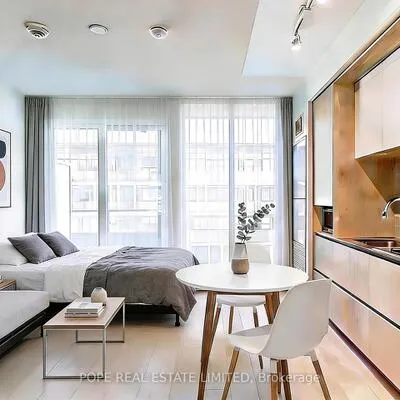 225,&nbsp;Sumach, Regent Park, Toronto
