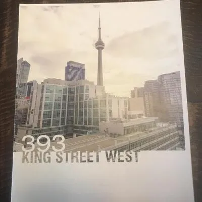 393,&nbsp;King, Waterfront Communities C1, Toronto