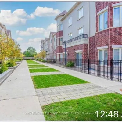 21,&nbsp;Coneflower, Westminster-Branson, Toronto