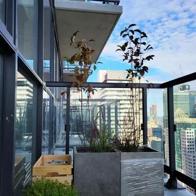 87,&nbsp;Peter, Waterfront Communities C1, Toronto