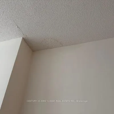 51,&nbsp;East Liberty, Niagara, Toronto