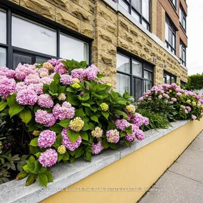 115,&nbsp;Bonis, Tam O'Shanter-Sullivan, Toronto