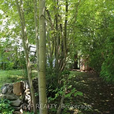 105,&nbsp;Puget, Codrington, Barrie