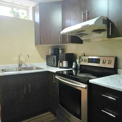 126,&nbsp;Earth Star, Sandringham-Wellington, Brampton