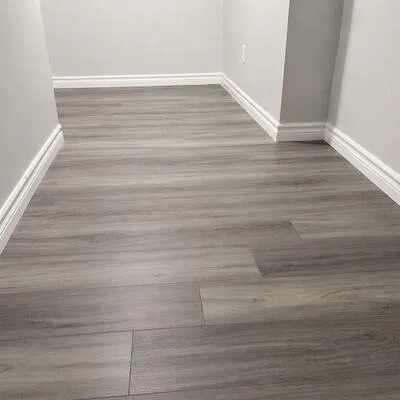13,&nbsp;Lion Pride, Sandringham-Wellington, Brampton
