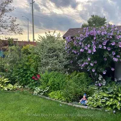 40,&nbsp;Crenshaw, Heart Lake West, Brampton