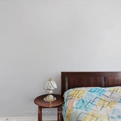 33,&nbsp;Penguin, Sandringham-Wellington, Brampton