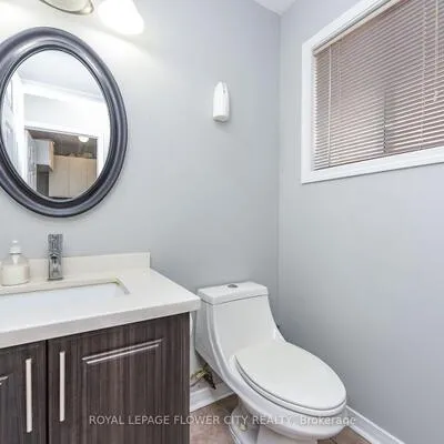 46,&nbsp;Pertosa, Fletcher's Meadow, Brampton