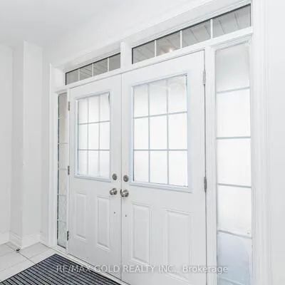 33,&nbsp;Tiger, Sandringham-Wellington North, Brampton