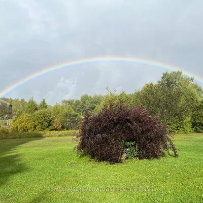 16089, Shaws Creek, Rural Caledon, Caledon