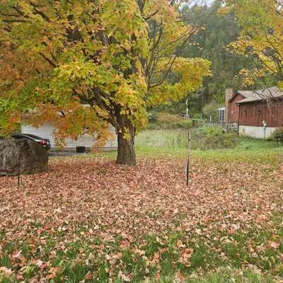 Part 1, 19904,&nbsp;Main, Alton, Caledon