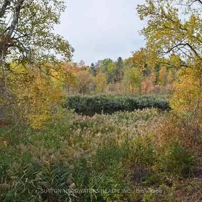 30,&nbsp;Cedar, Rural Caledon, Caledon