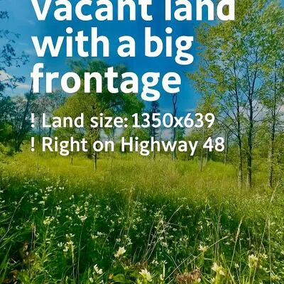 19983,&nbsp;Hwy 48, Rural East Gwillimbury, East Gwillimbury