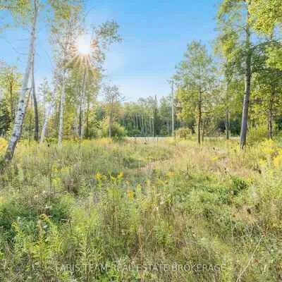 3152, Davis Drive, Rural East Gwillimbury, East Gwillimbury