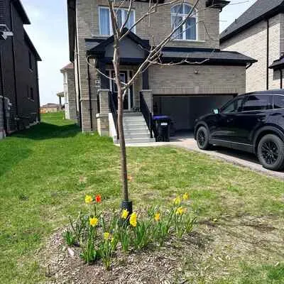1376,&nbsp;Harrington, Lefroy, Innisfil
