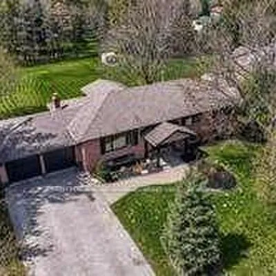 10, Cutting, Pottageville, King