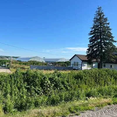 635,&nbsp;Strawberry, Rural King, King