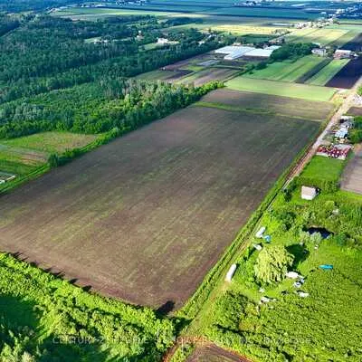 325,&nbsp;Lipchey, Rural King, King