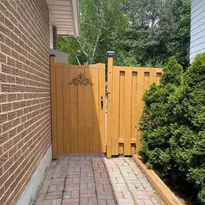 32,&nbsp;blue spruce, Royal Orchard, Markham