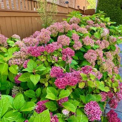 29,&nbsp;Rock Garden, Cornell, Markham