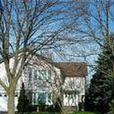 2475,&nbsp;Council Ring, Erin Mills, Mississauga
