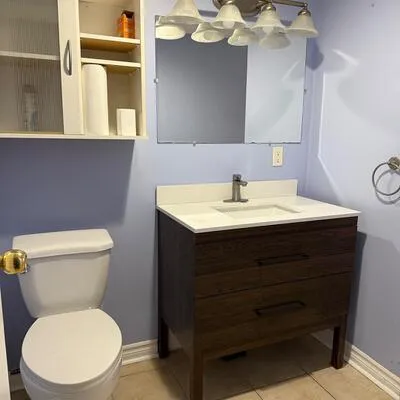 252, Osmond, Bristol-London, Newmarket