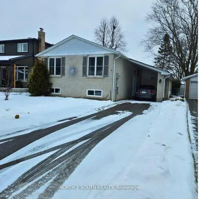 397, Terry, Armitage, Newmarket