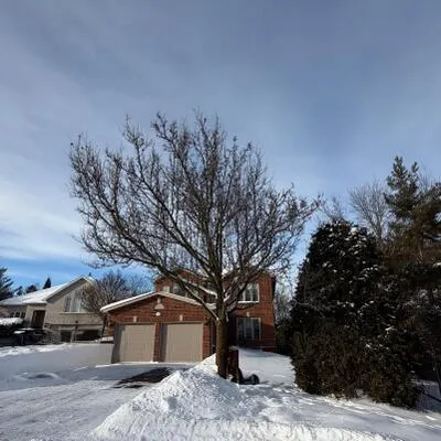 341, Gaston, Gorham-College Manor, Newmarket