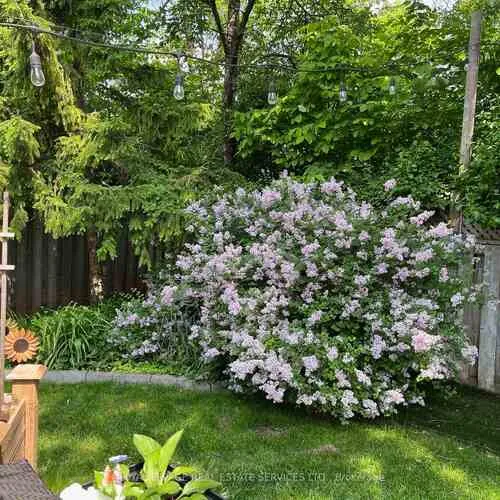 Premium freehold home for sale: 2192, Grand Ravine, 1015 - RO River Oaks, Oakville