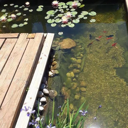 Premium freehold home for sale: 395, Maidstone, 1007 - GA Glen Abbey, Oakville