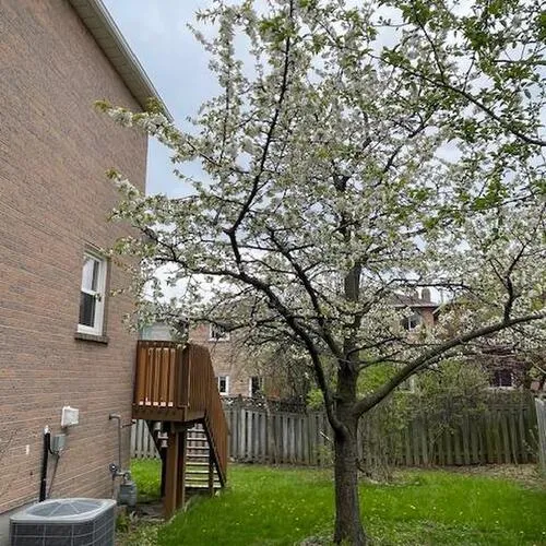 Premium freehold home for sale: 1354, Hazel Mccleary, 1004 - CV Clearview, Oakville