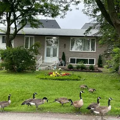 58,&nbsp;Maple Grove, Oak Ridges, Richmond Hill
