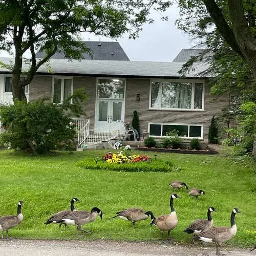 Premium freehold home for sale: 58, Maple Grove, Oak Ridges, Richmond Hill