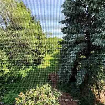 75,&nbsp;Spruce, South Richvale, Richmond Hill